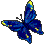 blu butterfly